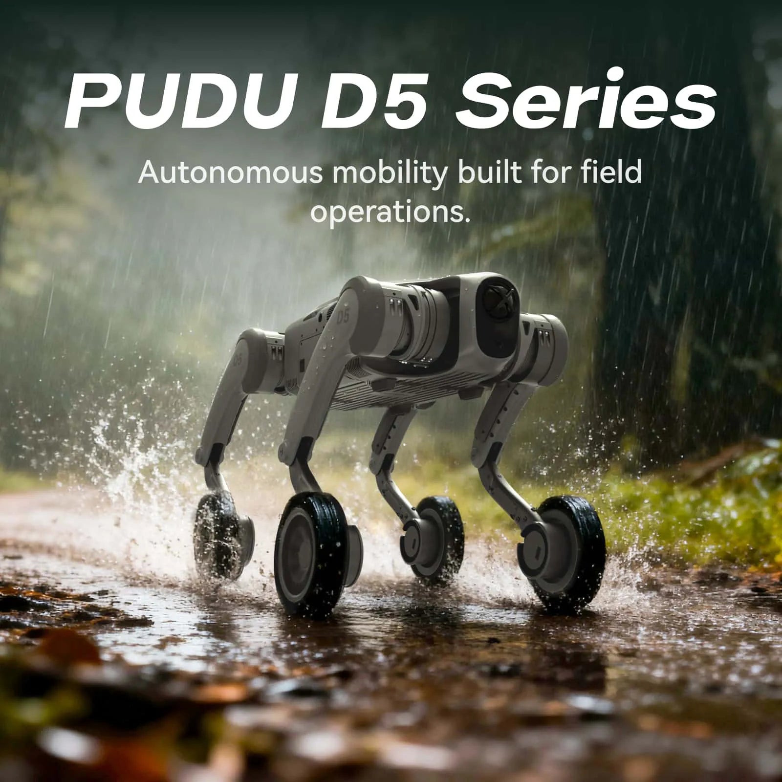 PUDU D5 Series